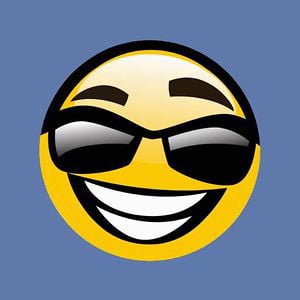 Profile picture for Dennis van der Meer