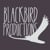blackbird productions