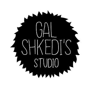 Profile picture for gal shkedi