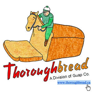 Profile picture for Thoroughbread Pictures