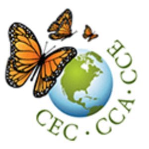 Profile picture for CEC