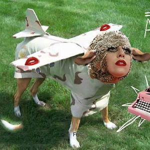 Profile picture for gagathrone