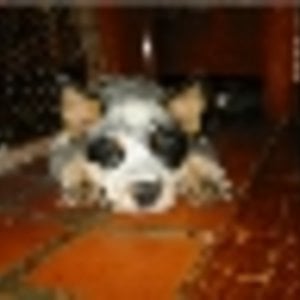 Profile picture for Michael W.