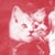 Wussy Cat
