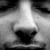 Cerf Max