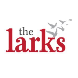 Profile picture for thelarks