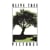 Olive Tree Pictures