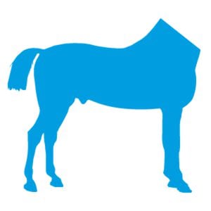 Profile picture for KOOK