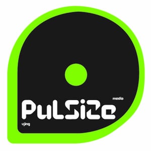 Profile picture for pulsize