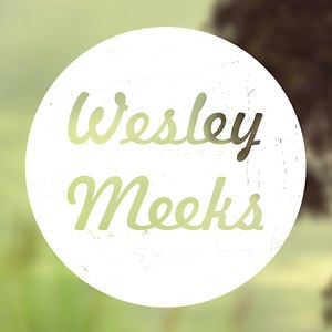 Profile picture for Wesley Meeks