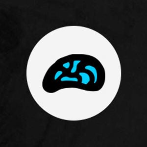 Profile picture for About my Brain