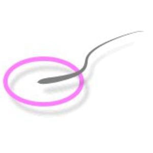 Profile picture for Surrogacy in Thailand