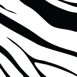 Profile picture for Team Zebra Squad Alpha