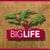 BIG LIFE