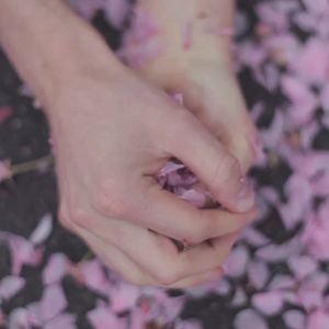 Profile picture for pinkrabbits