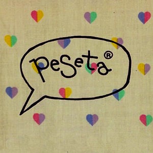 Profile picture for casa peSeta
