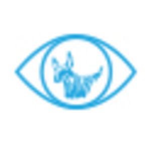 Profile picture for Maggie Vision Productions