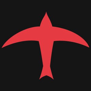 Profile picture for Raise the Sky