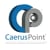 CaerusPoint LLC