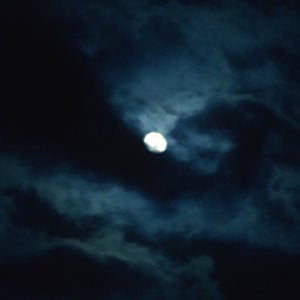 Profile picture for Diari dalla Terza Era