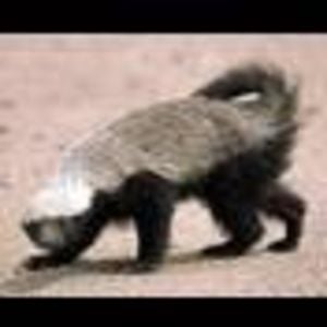 Profile picture for fred hadders