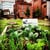 Mound Street Community Garden