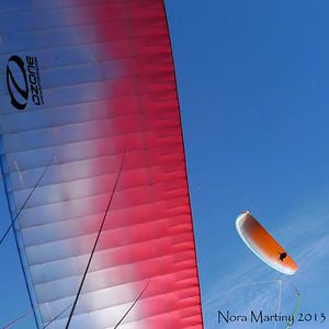 Profile picture for nora martiny