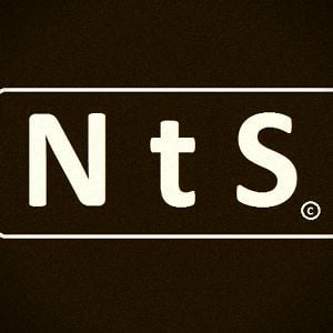 Profile picture for N t S