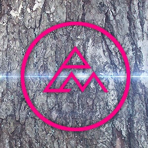 Profile picture for Pink Label Media