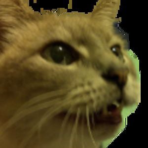 Profile picture for Christopher Hunter