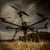 Dragonflyphotography