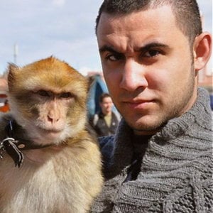 Profile picture for Seena Haddad