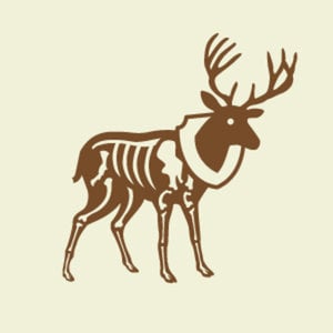 Profile picture for Voölta