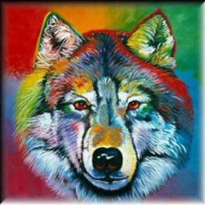 Profile picture for American Indian Television AIIBN