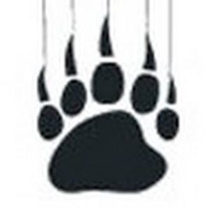 Profile picture for GRIZZ LEE