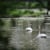 Taltree Arboretum & Gardens