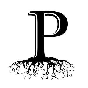 Profile picture for Peter Hauer