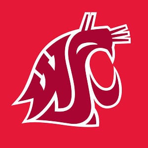 Profile picture for COUGAR STUDIOS