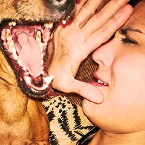 Profile picture for dzidzia kulka