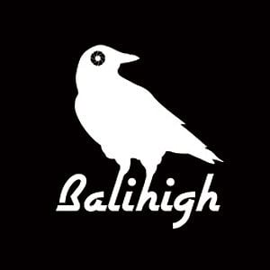 Profile picture for Balihigh Aerial Media