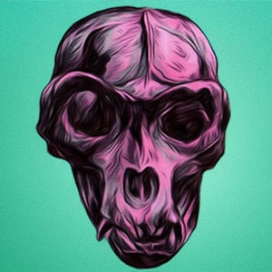 Profile picture for Ryan Gillis