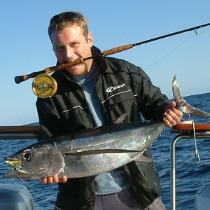 Profile picture for David Christie