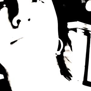 Profile picture for mimir