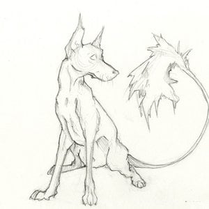 Profile picture for Claire J. C. Stewart
