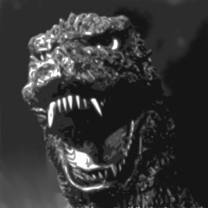 Profile picture for Roel Scheijde