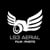 LS3 Aerial