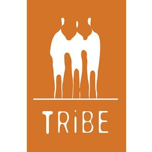 Profile picture for Tribe Pictures