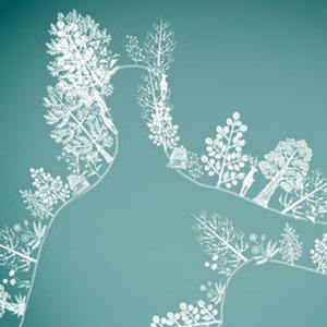 Profile picture for zuga