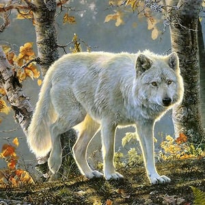 Profile picture for Lone Wolf Natureworks