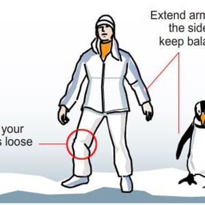 Profile picture for Walk Like A Penguin Productions